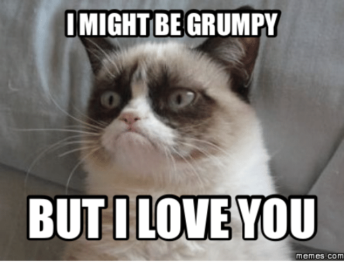 I Might Be Grumpy But I Love You Memes Com Tricks By Stg