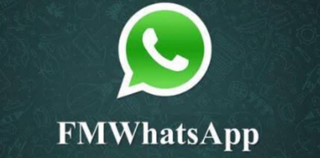 FMWhatsApp App Apk Download Latest link