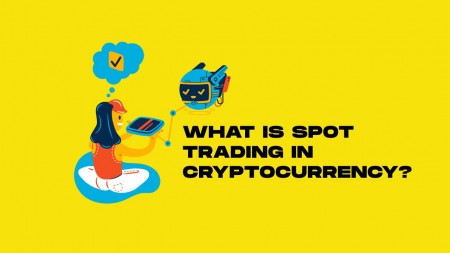 OPERATION OF THE SPOT MARKET OF CRYPTOCURRENCIES